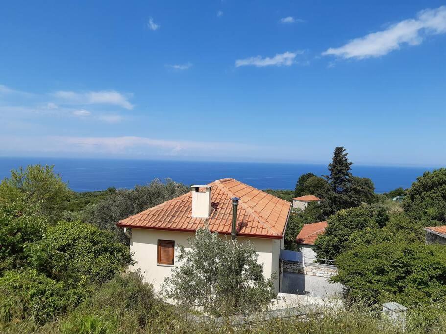 Kouros Villa! Paltsi Pilion 外观 照片