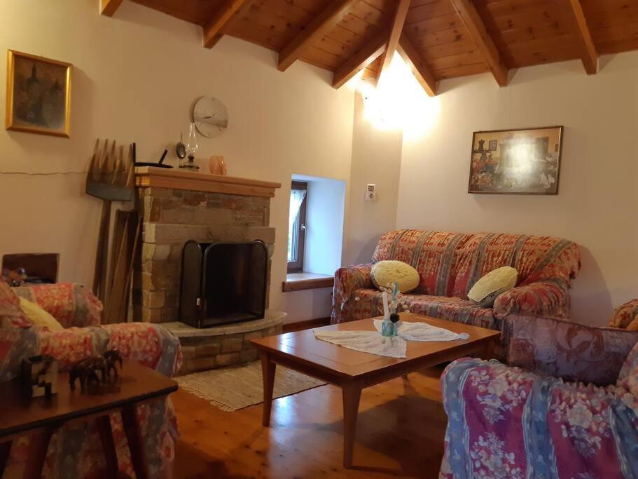 Kouros Villa! Paltsi Pilion 外观 照片