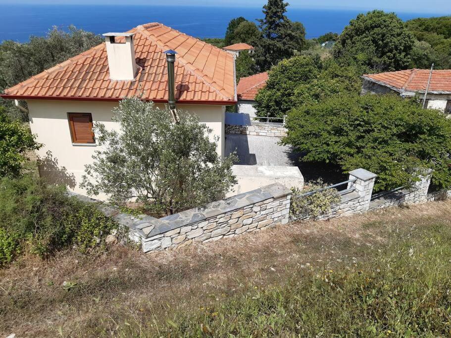 Kouros Villa! Paltsi Pilion 外观 照片