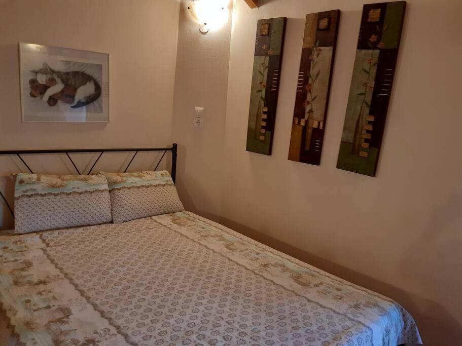 Kouros Villa! Paltsi Pilion 外观 照片