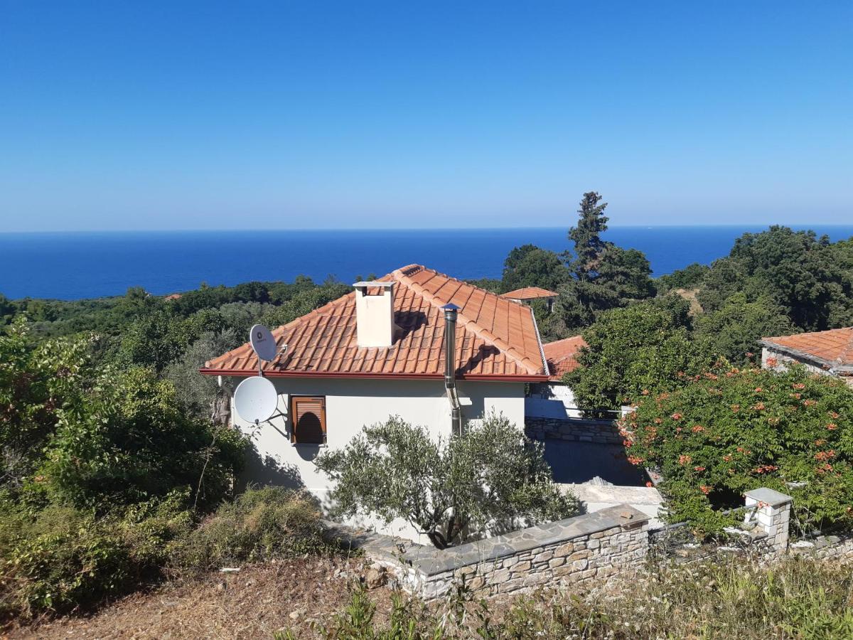 Kouros Villa! Paltsi Pilion 外观 照片