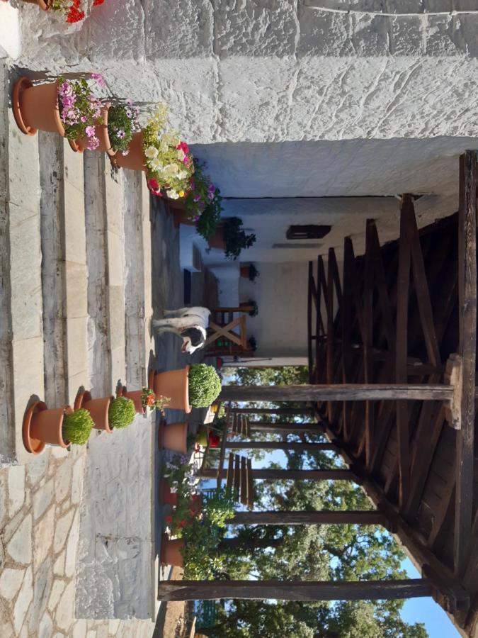 Kouros Villa! Paltsi Pilion 外观 照片