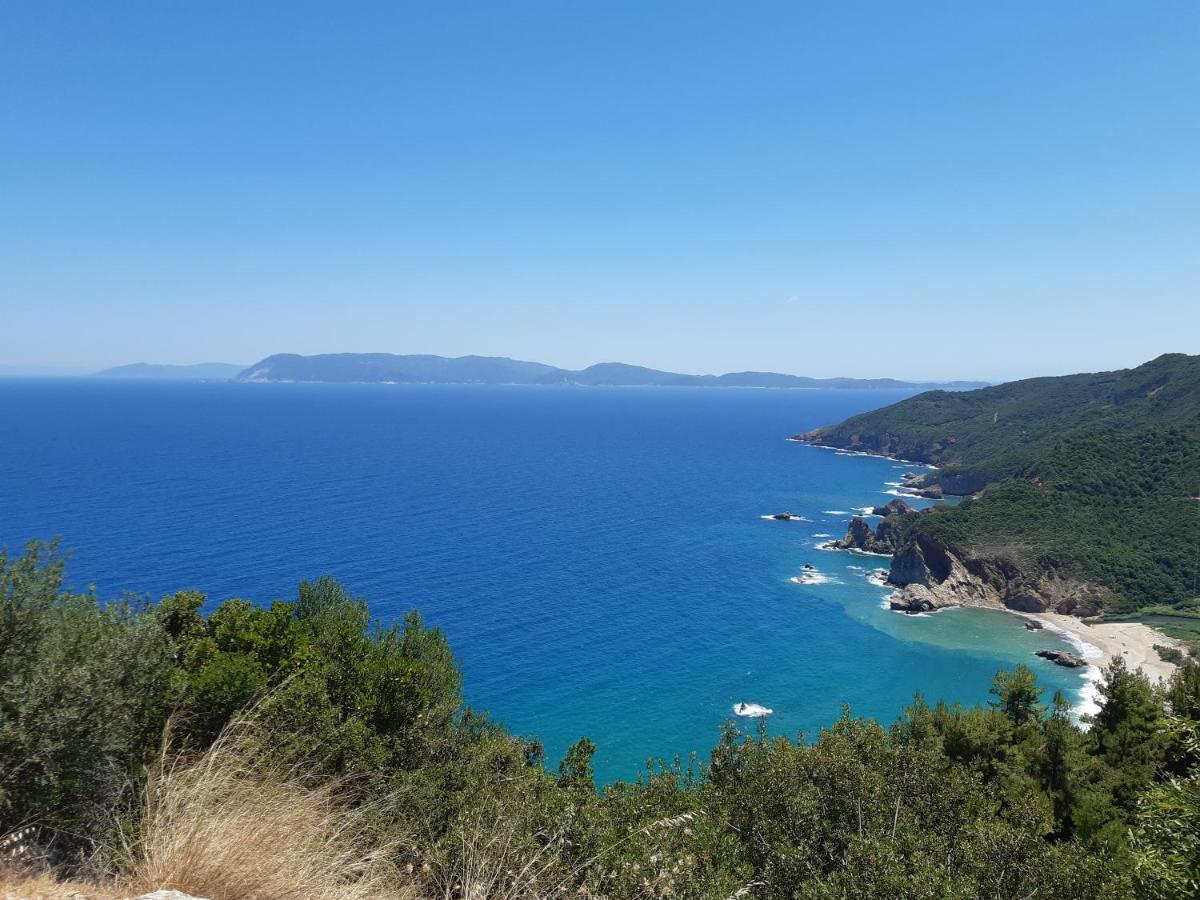 Kouros Villa! Paltsi Pilion 外观 照片