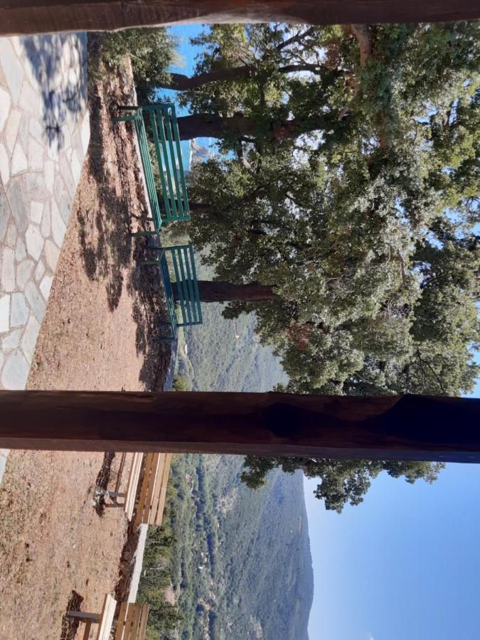 Kouros Villa! Paltsi Pilion 外观 照片
