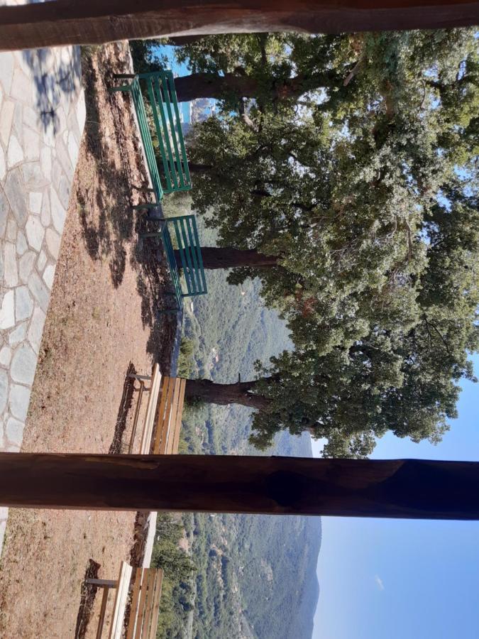 Kouros Villa! Paltsi Pilion 外观 照片