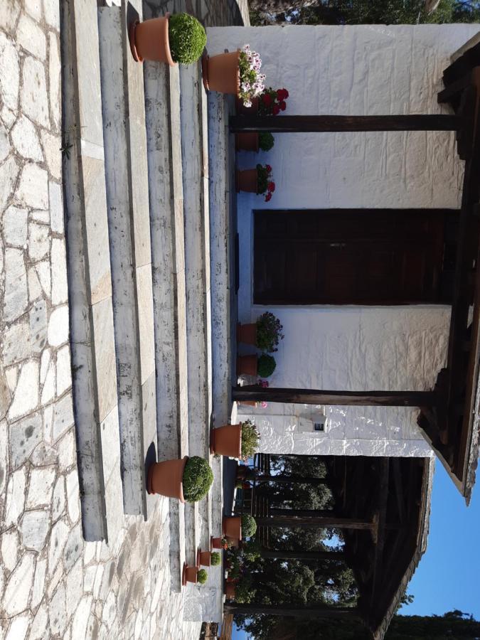 Kouros Villa! Paltsi Pilion 外观 照片