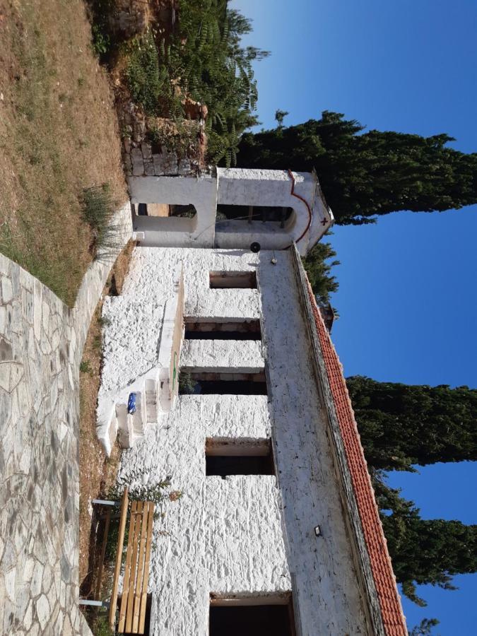 Kouros Villa! Paltsi Pilion 外观 照片